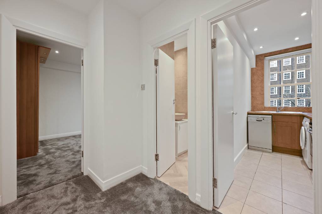 - Image 12 - Image 12